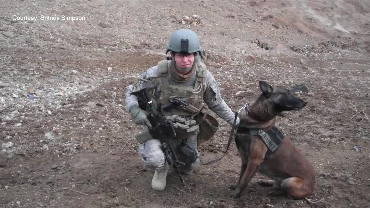 Mental health support dogs helping veterans through their darkest time
