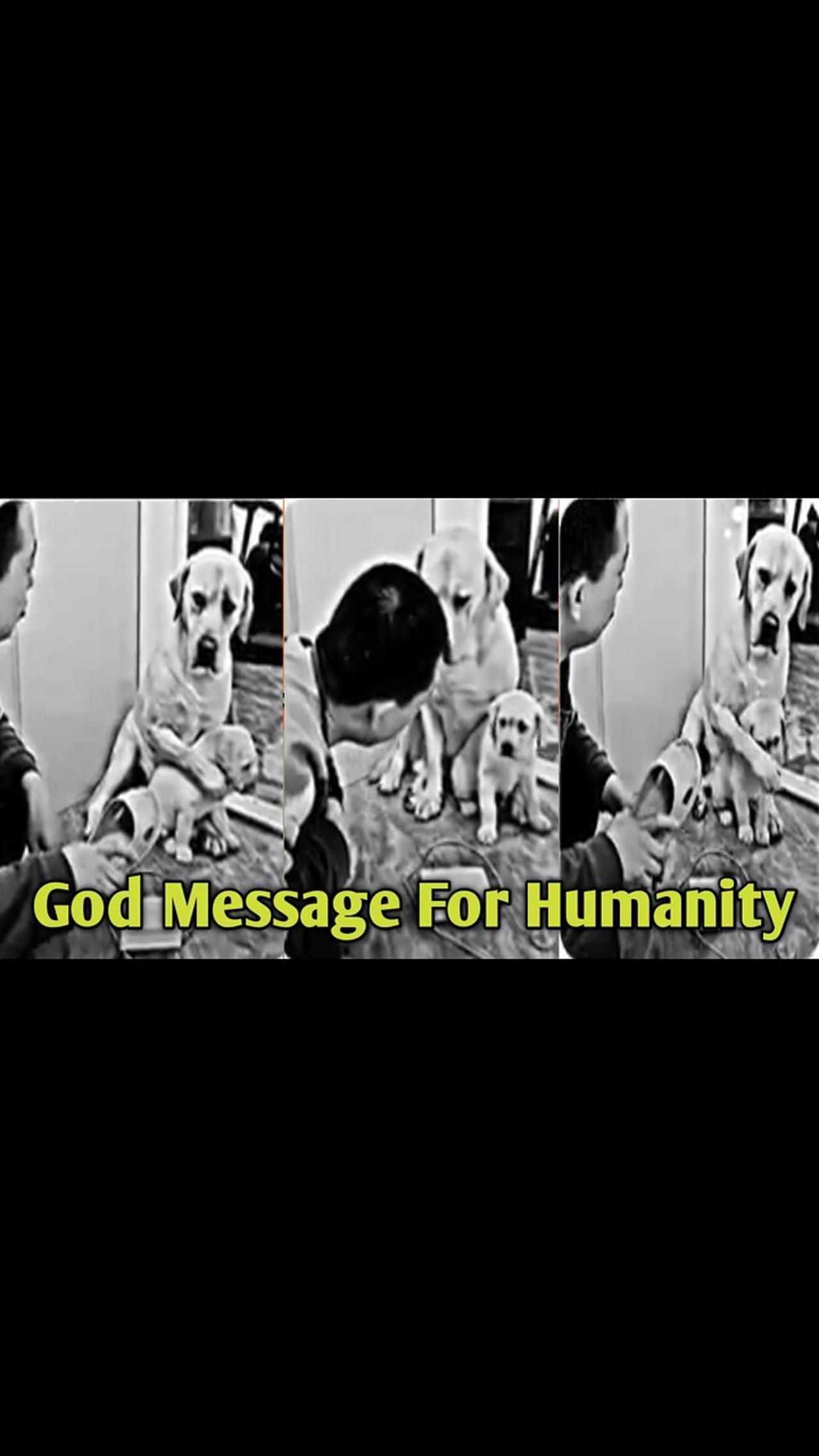 A Very God Message For Humanity. - One News Page VIDEO