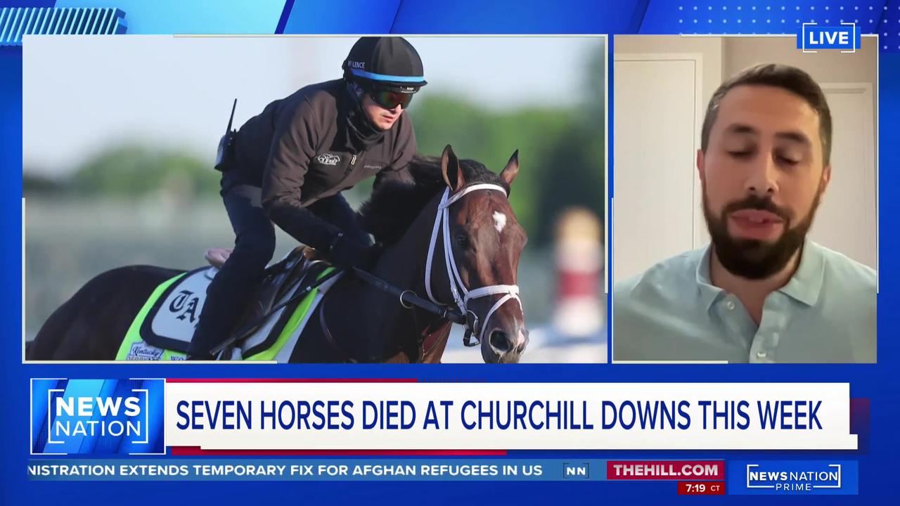 Kentucky Derby investigation Why are horses One News Page VIDEO