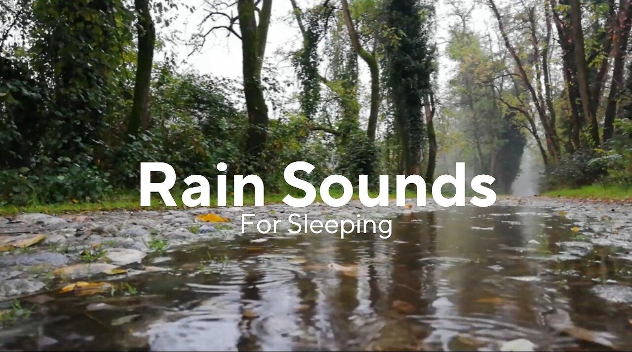 Rain Sounds For Sleeping - Sleep Instantly With Calm And Peaceful Raining Sound