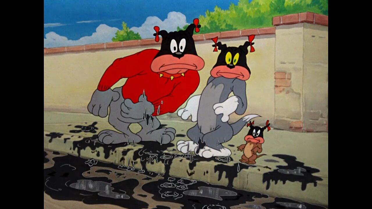 Tom and Jerry Cartoon | The Truce Hurts 👈🏻👌🏻🤣🤣😛😛