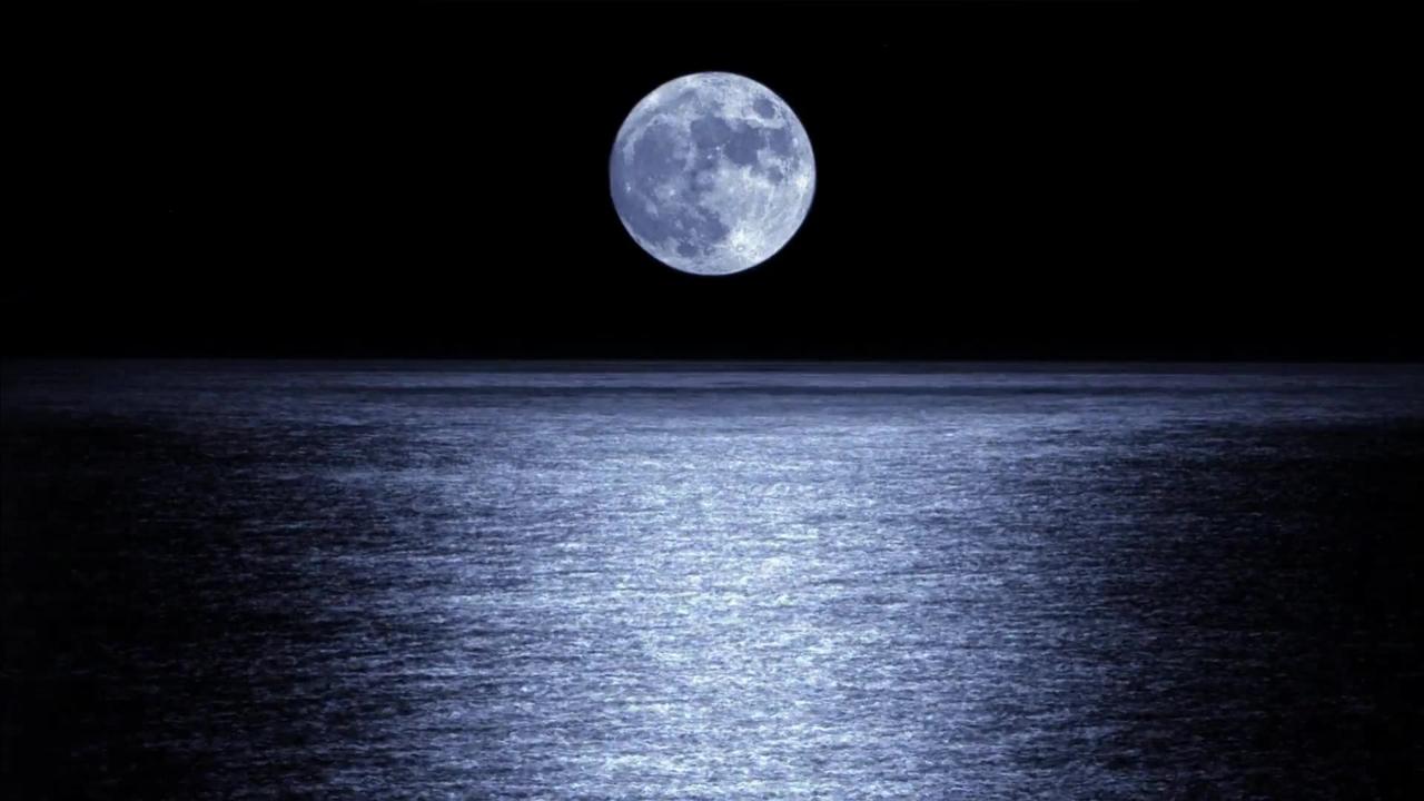The Whole of the Moon