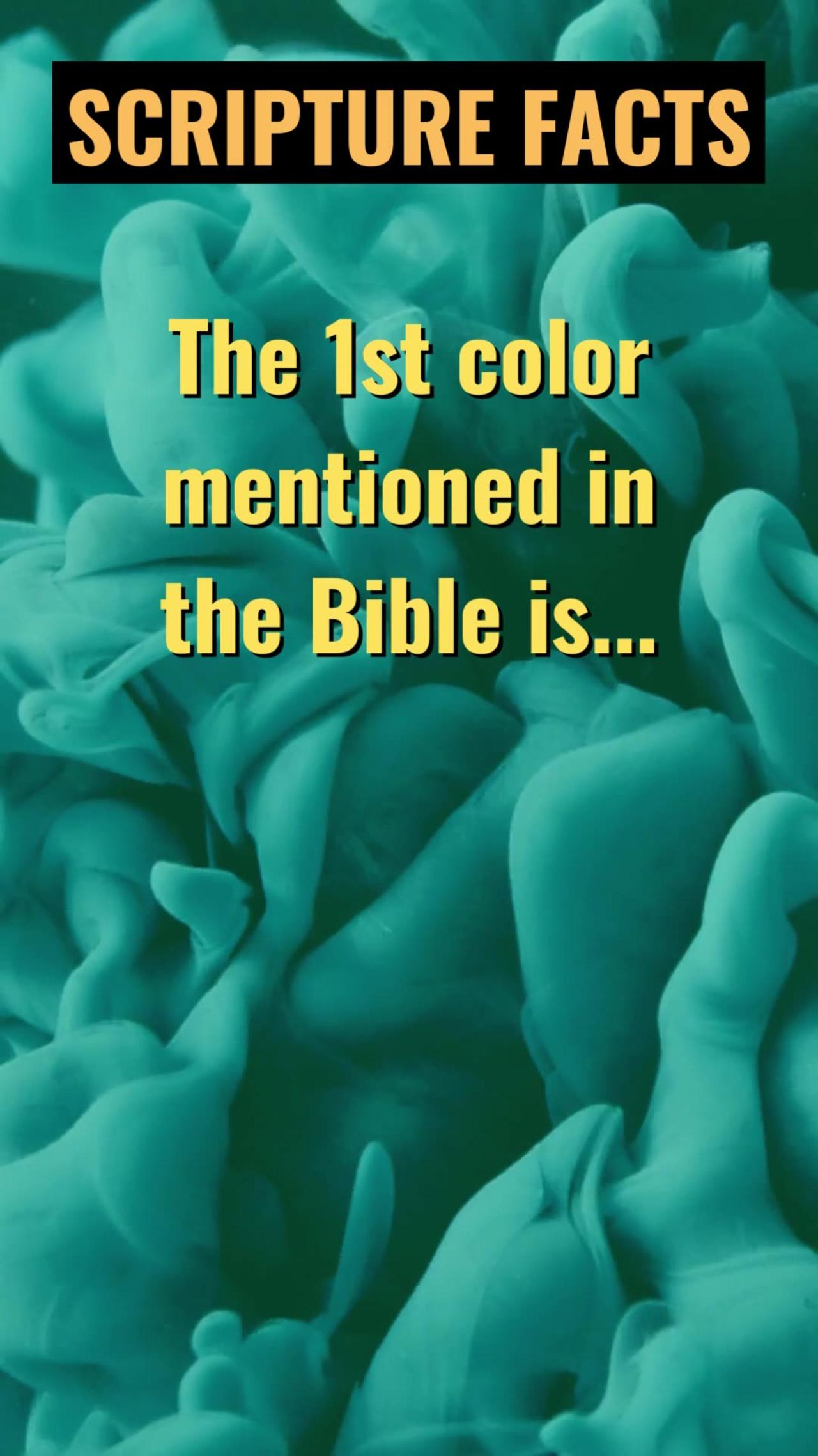 what-color-quoted-first-in-the-bible-one-news-page-video