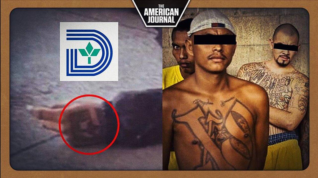 What Is Tango Blast? Cartel-Affiliated Gang - One News Page VIDEO