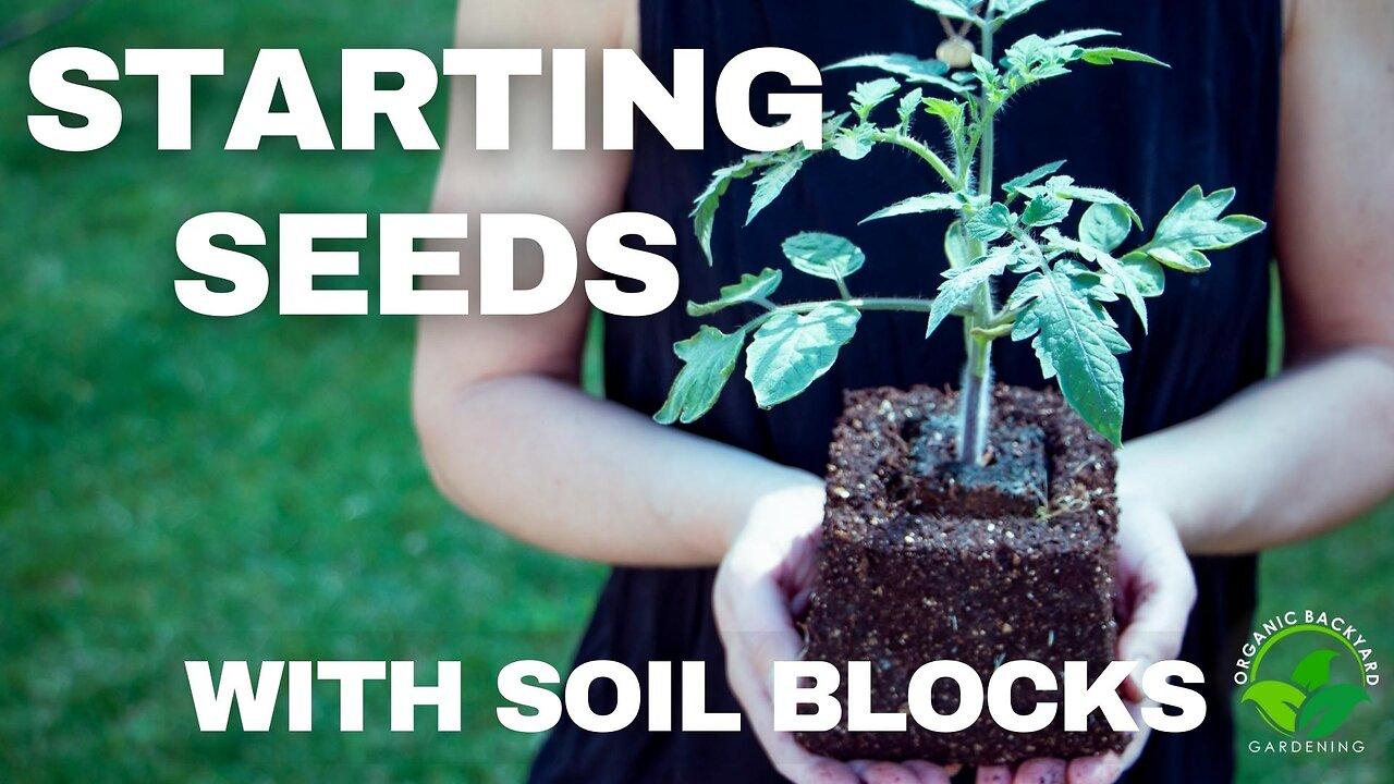How to Use Soil Blocks for Seed Starting One News Page VIDEO