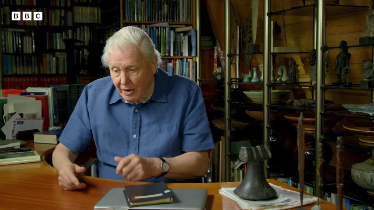 When Sir David Attenborough had  to catch a HUGE python   David Attenborough's Zoo Quest in Colour