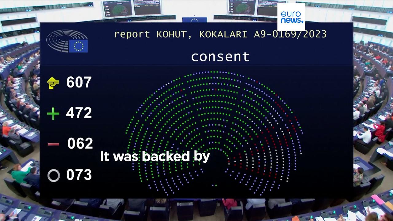 MEPs vote for EU to ratify Istanbul Convention against violence against women