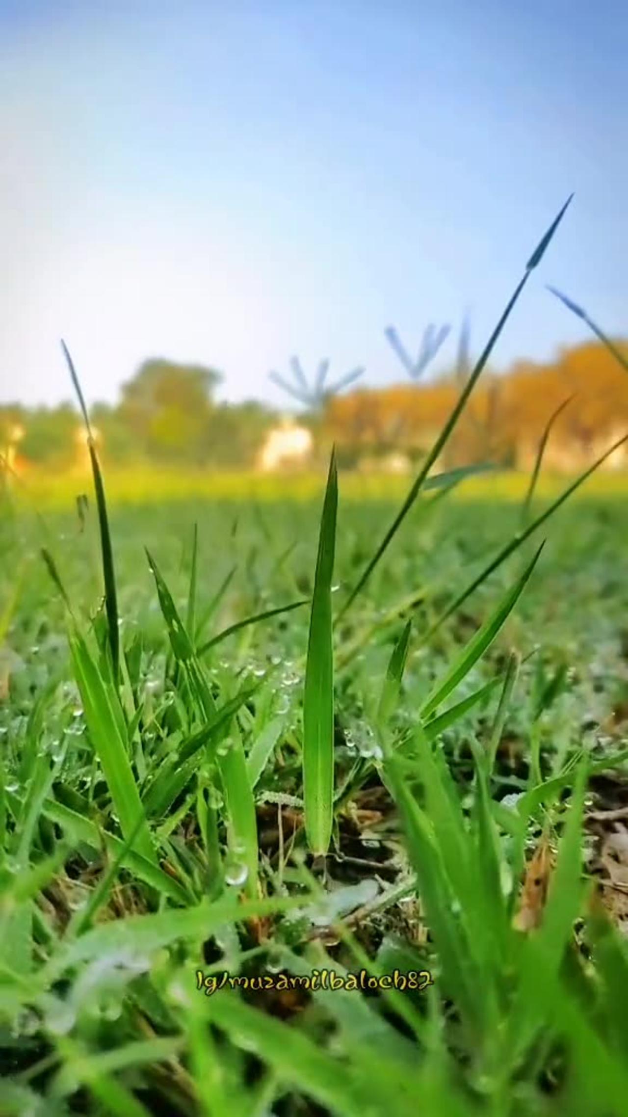 Rachel'S Journey Through Nature - 69tvra8