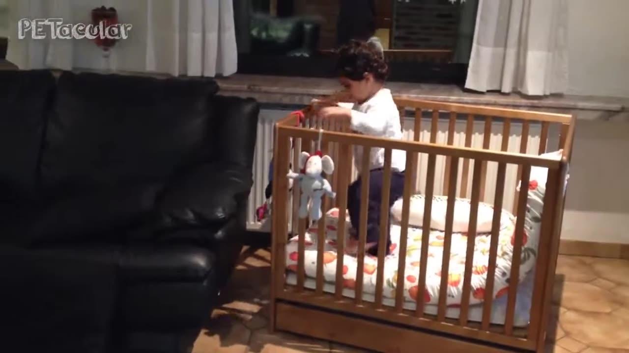 Funny Baby jail break Videos Babies Escaping Cribs Video Compilation 2023