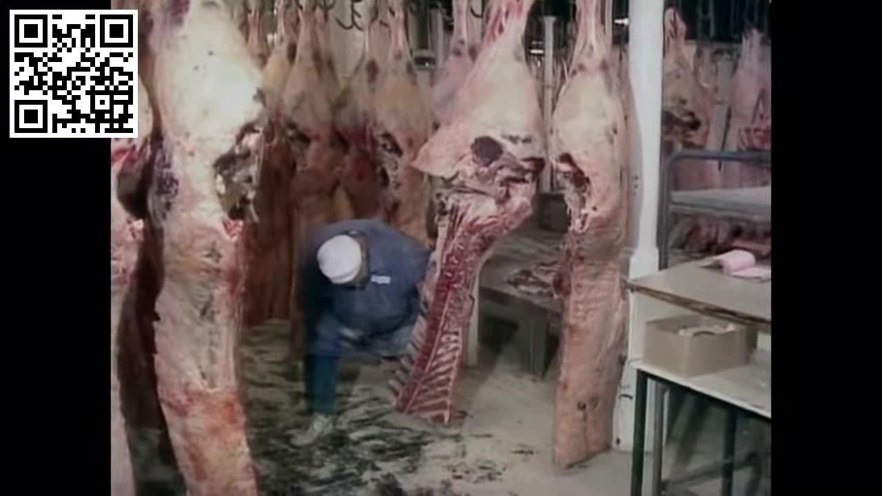 TV Documentary on Mad Cow Disease (Full Length)