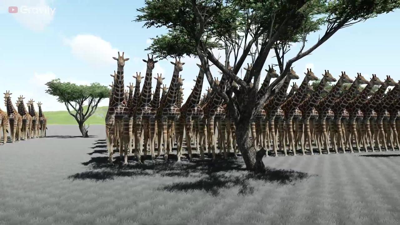 Giraffe population by Country 2023 - One News Page VIDEO