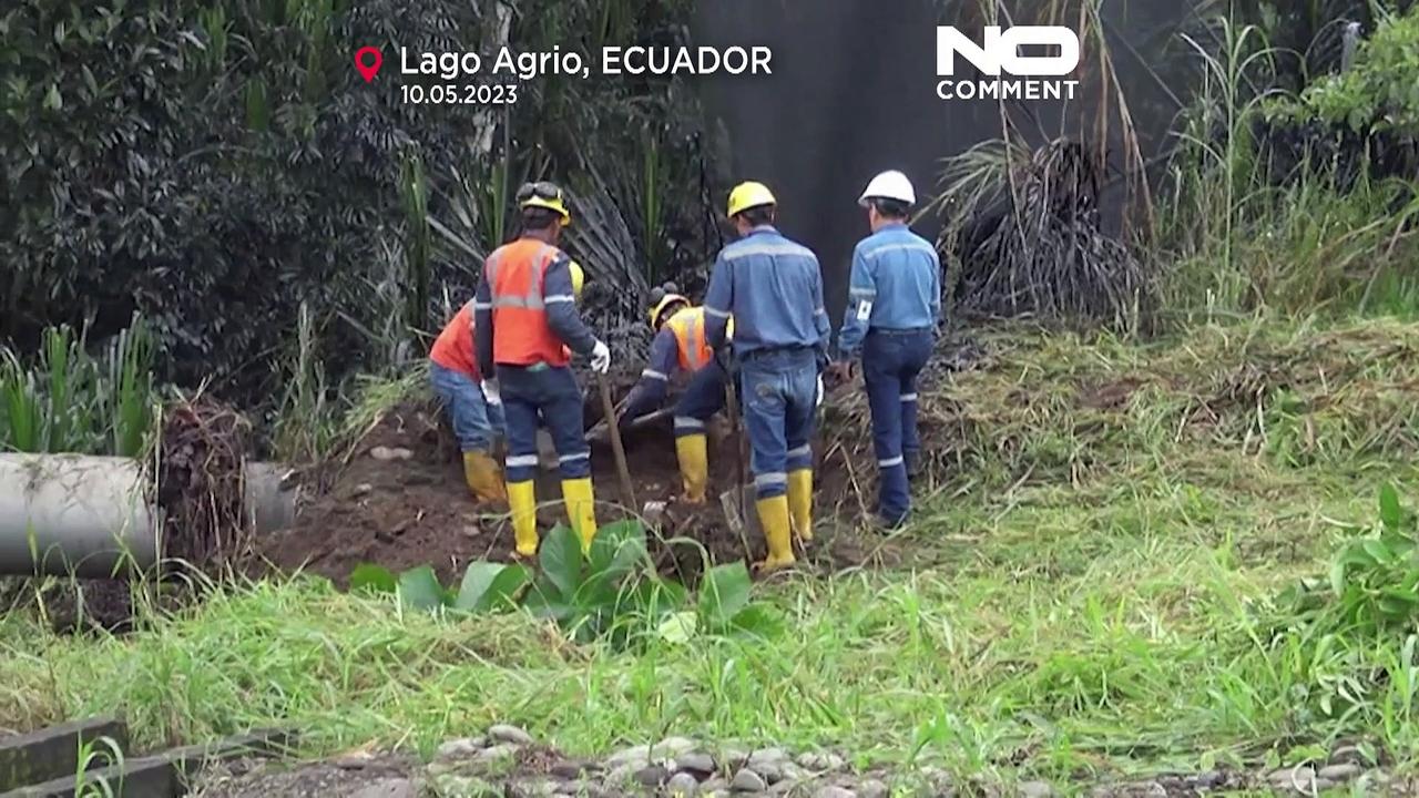 WATCH: Oil spill in Ecuador's Amazon region a result of 'sabotage'