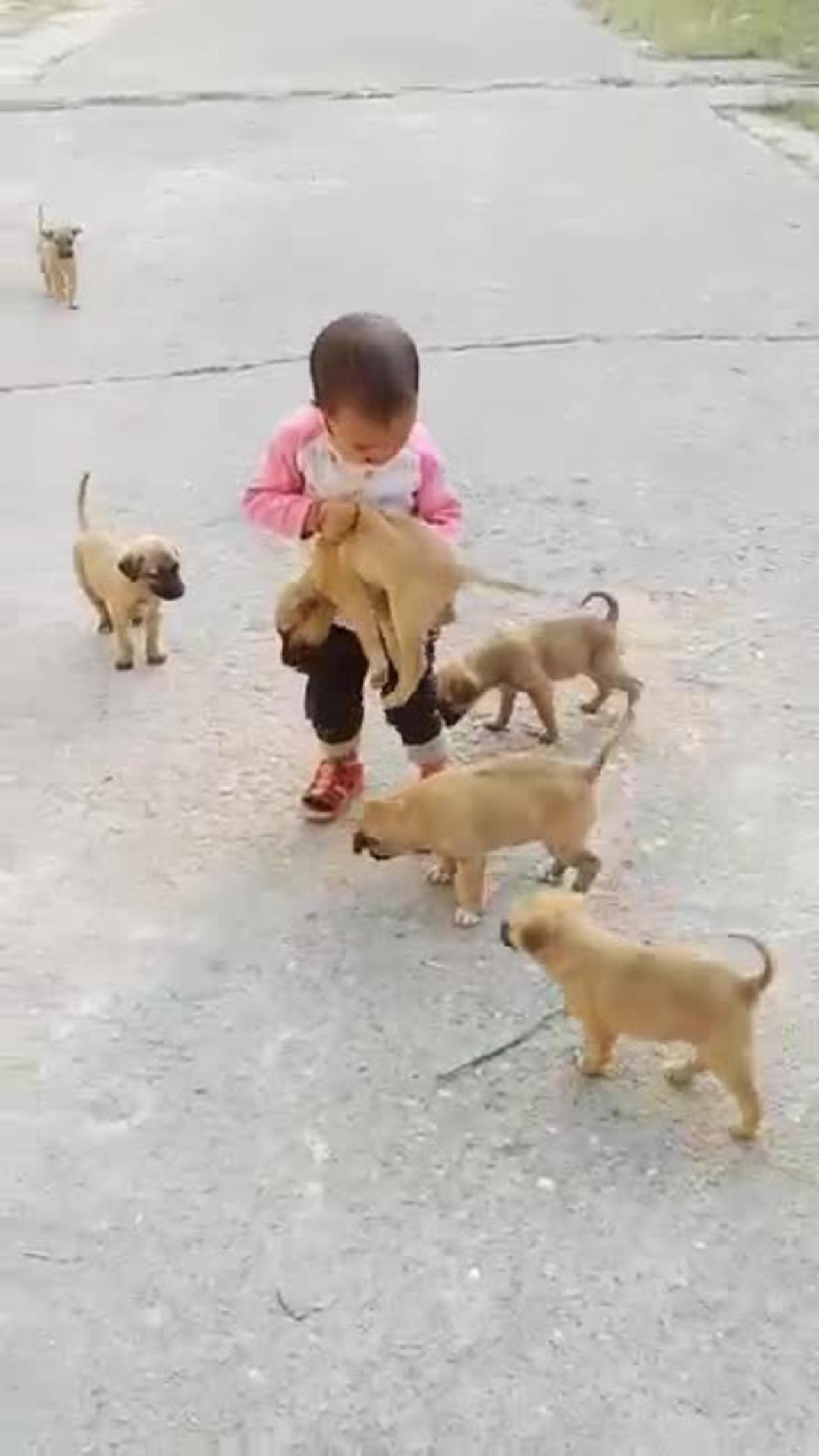 cute baby play with cute puppy🐕🐕🐕 #shorts #viral #comedy  #puppy #dog #dogsaung