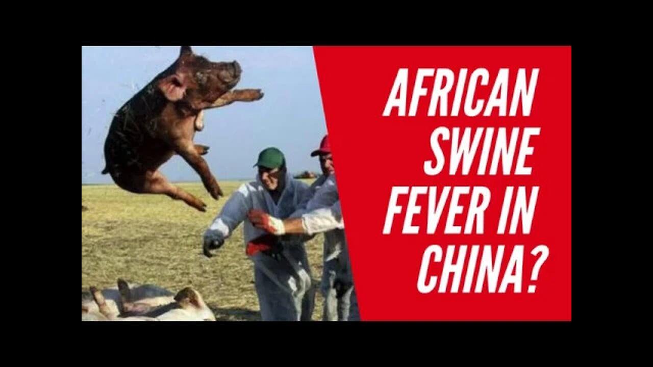 What China's Doing About African Swine Fever