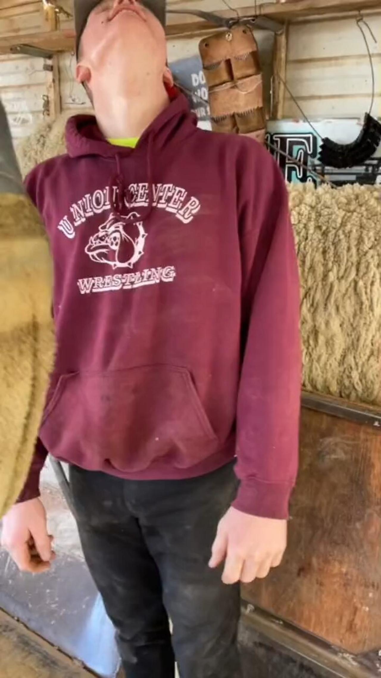 Big Sheep Peeling 🥰 One News Page VIDEO