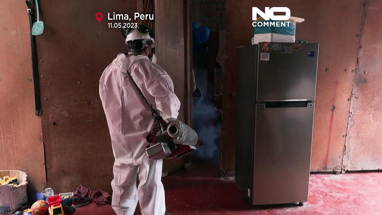 Health workers fumigate homes in Peru to eradicate dengue-spreading mosquitoes