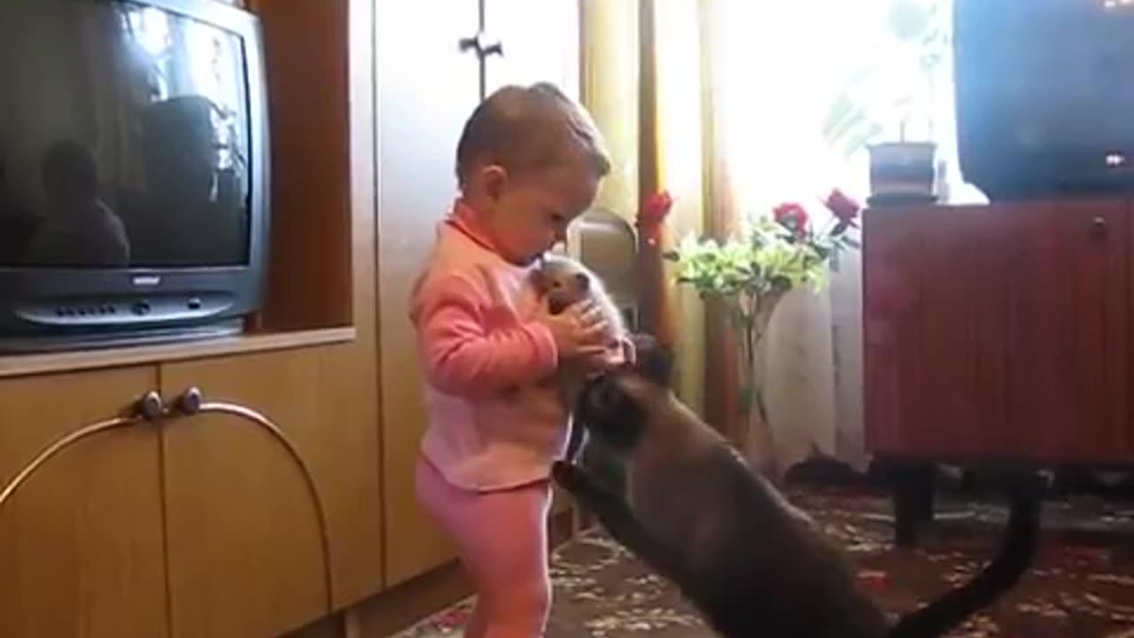 Mama Cat Takes Back Crying Kitten From Toddlerr One News Page Video Mama Cat Takes Back Crying Kitten From Toddlerr One News Page Video