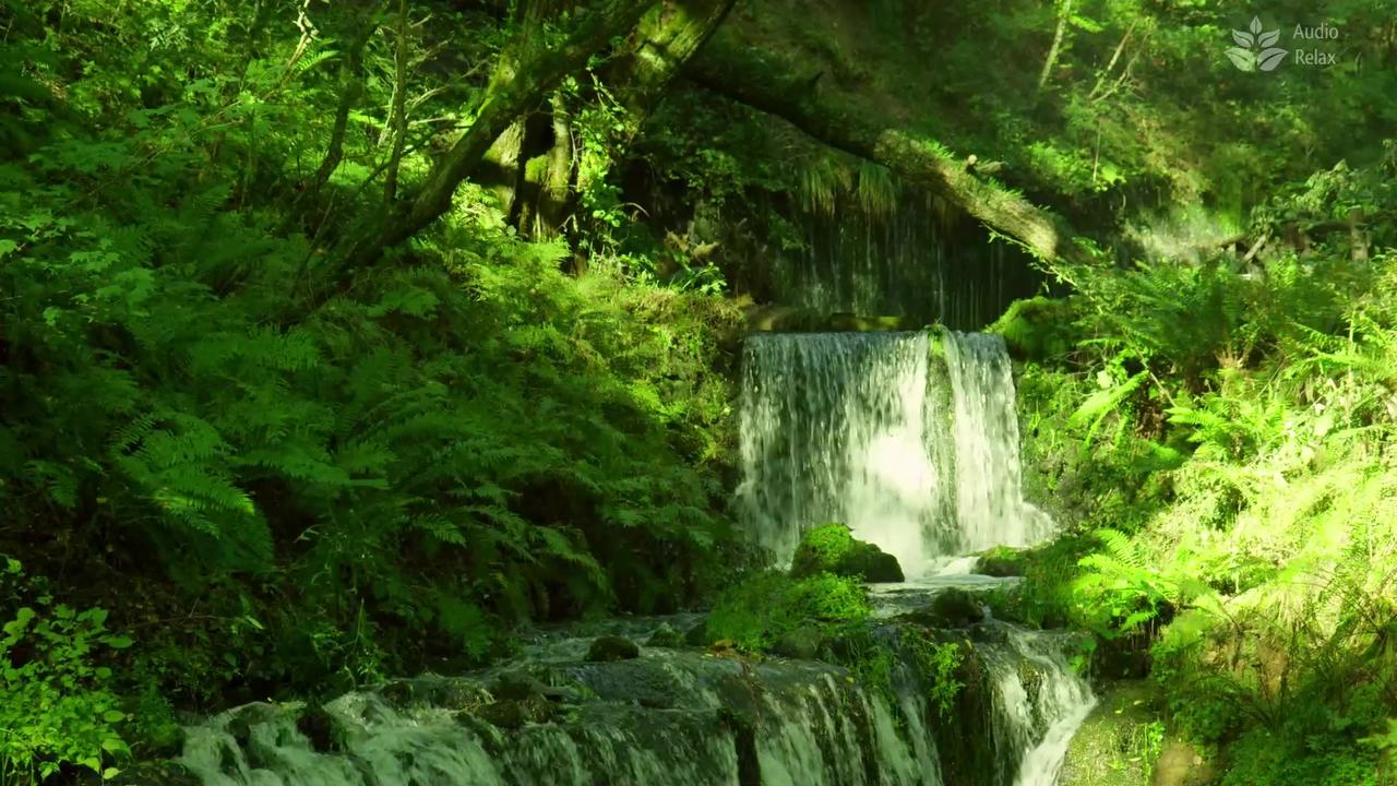 Serene Waterfall in Lush Forest | 1 Hour Relaxing Video with Soothing Nature Sounds