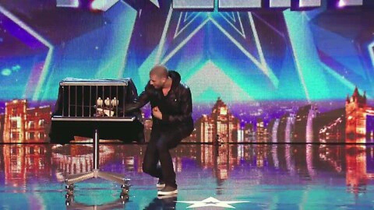 Darcy Oake's jaw-dropping dove illusions | Britain's Got Talent 👍
