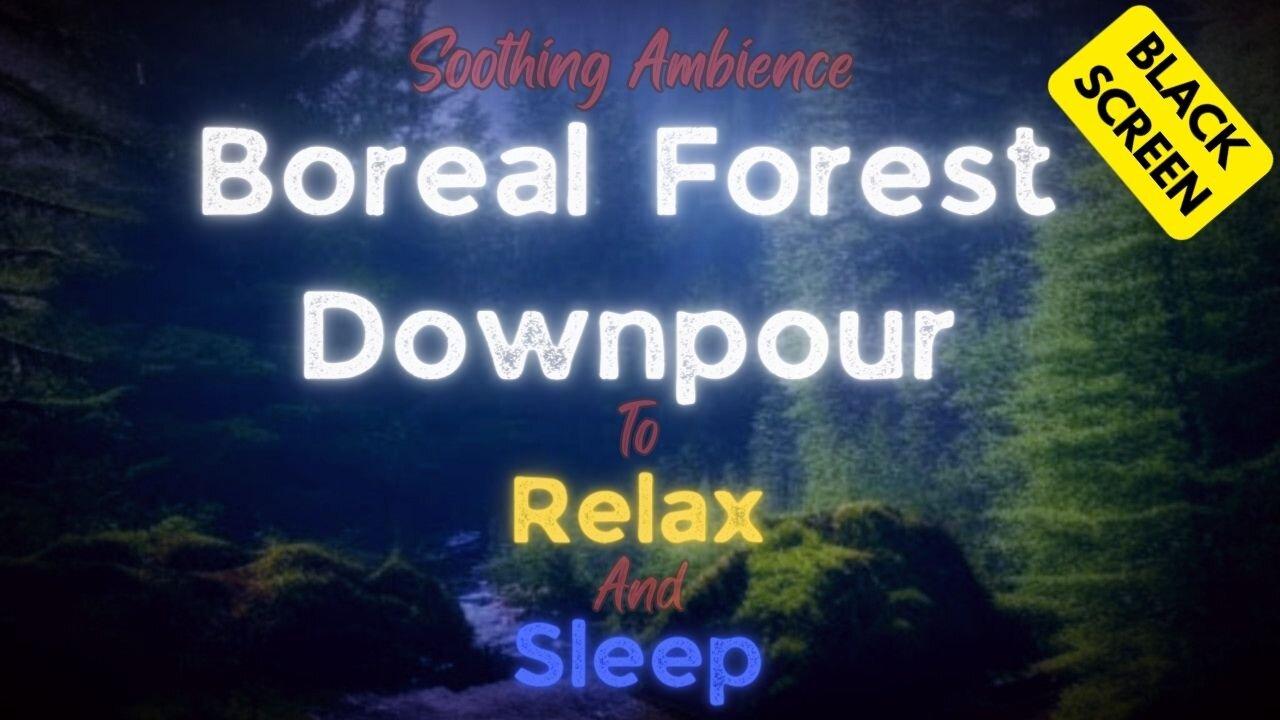 5 HOURS Rain Sounds for Sleeping Soothing Thunderstorm for Relaxation Nature White Noise Ambience