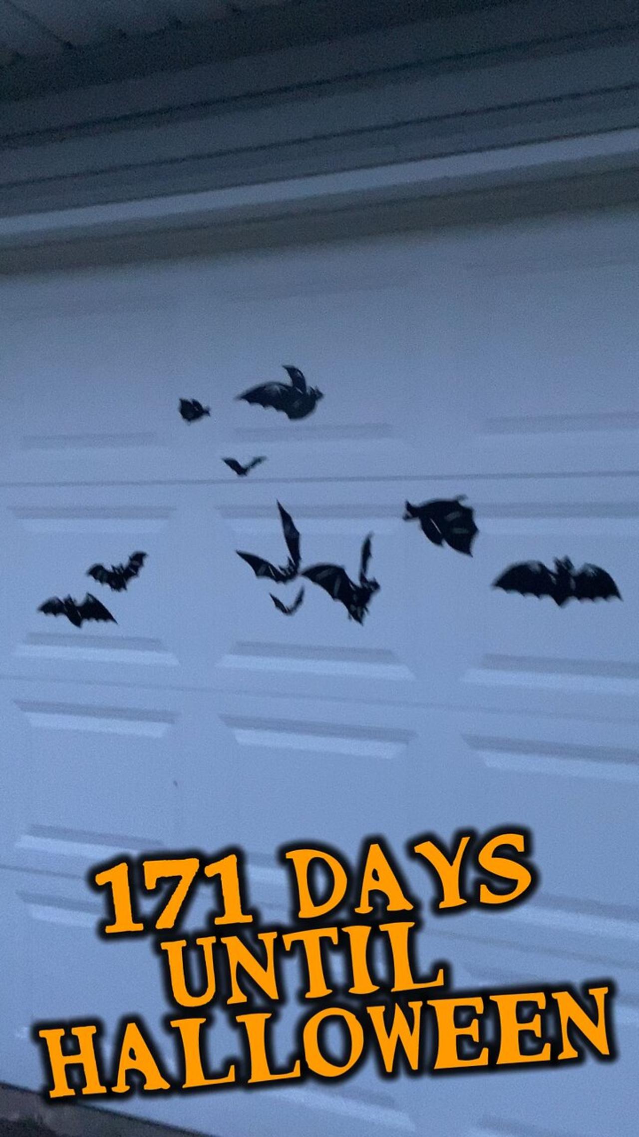 Todays Halloween Countdown 171 Days