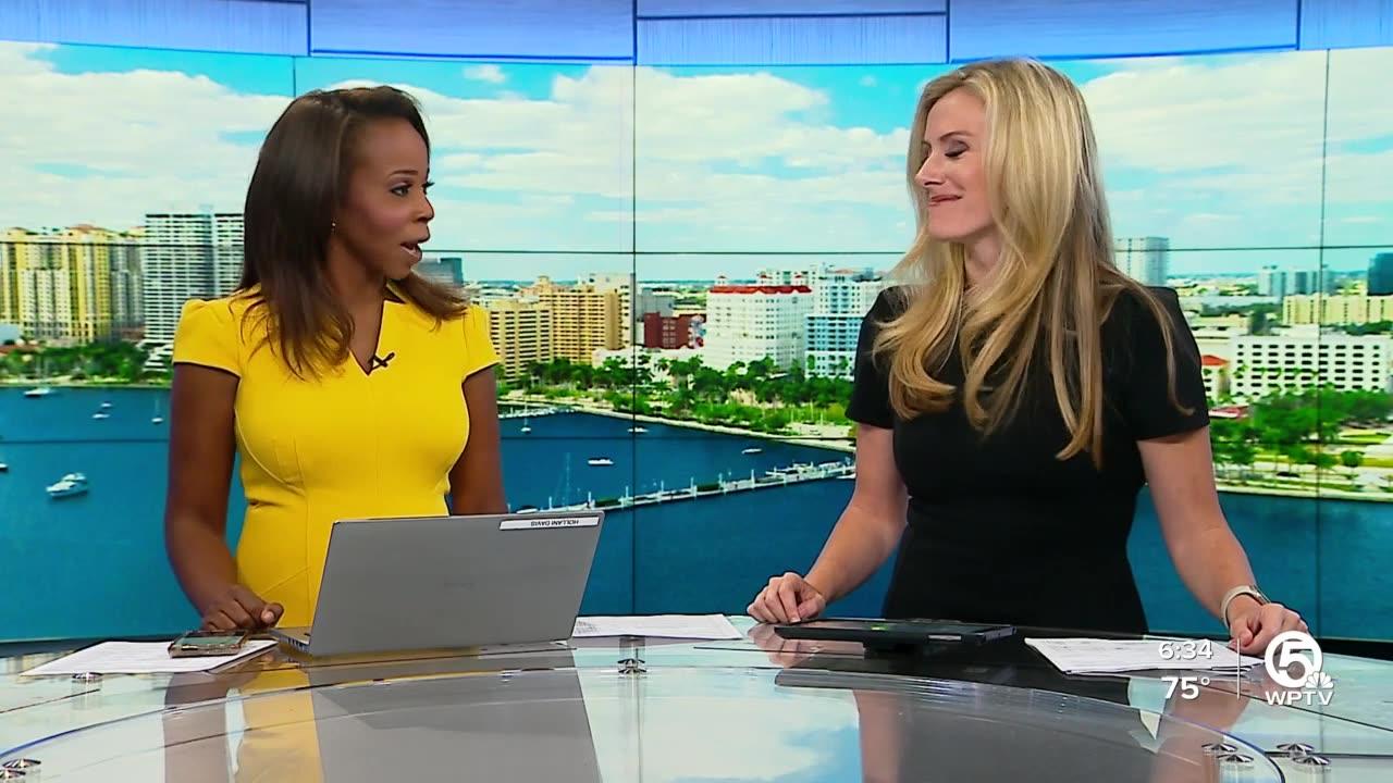 Dozens of Palm Beach County artists open studios One News Page VIDEO