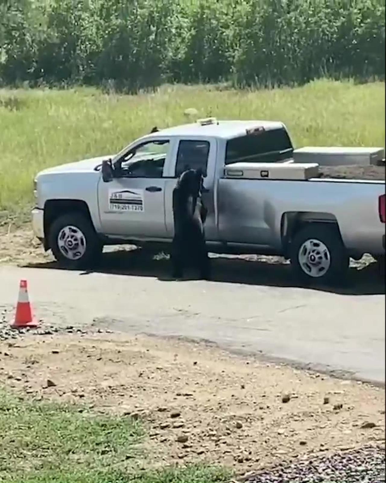 Colorado Parks And Wildlife Says It Has Already - One News Page VIDEO