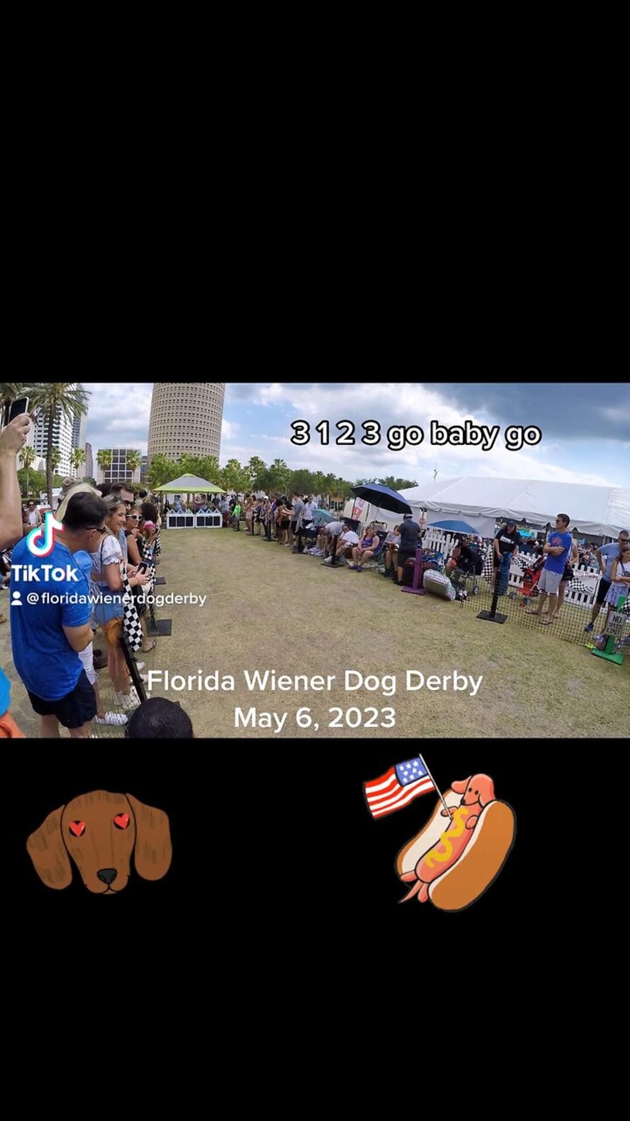 Florida wiener dog derby, May 6, 2023 One News Page VIDEO
