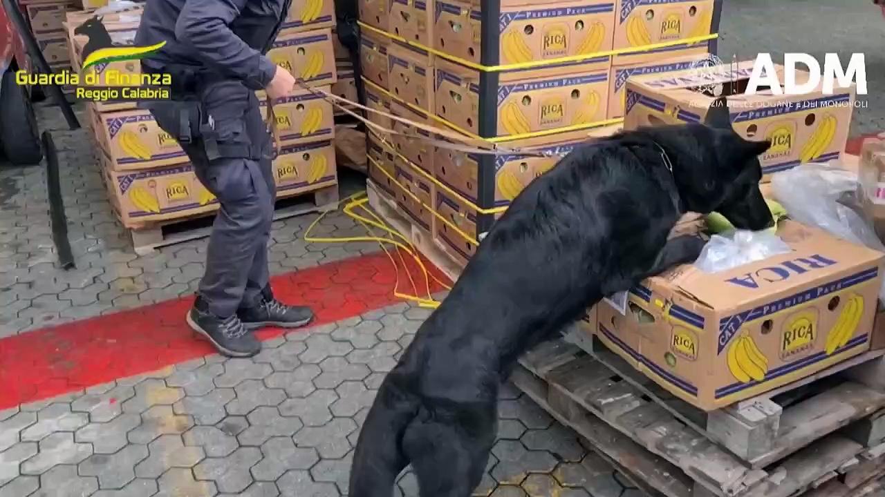 Italian Police Find $880 Million of Cocaine Stashed in Banana Crates