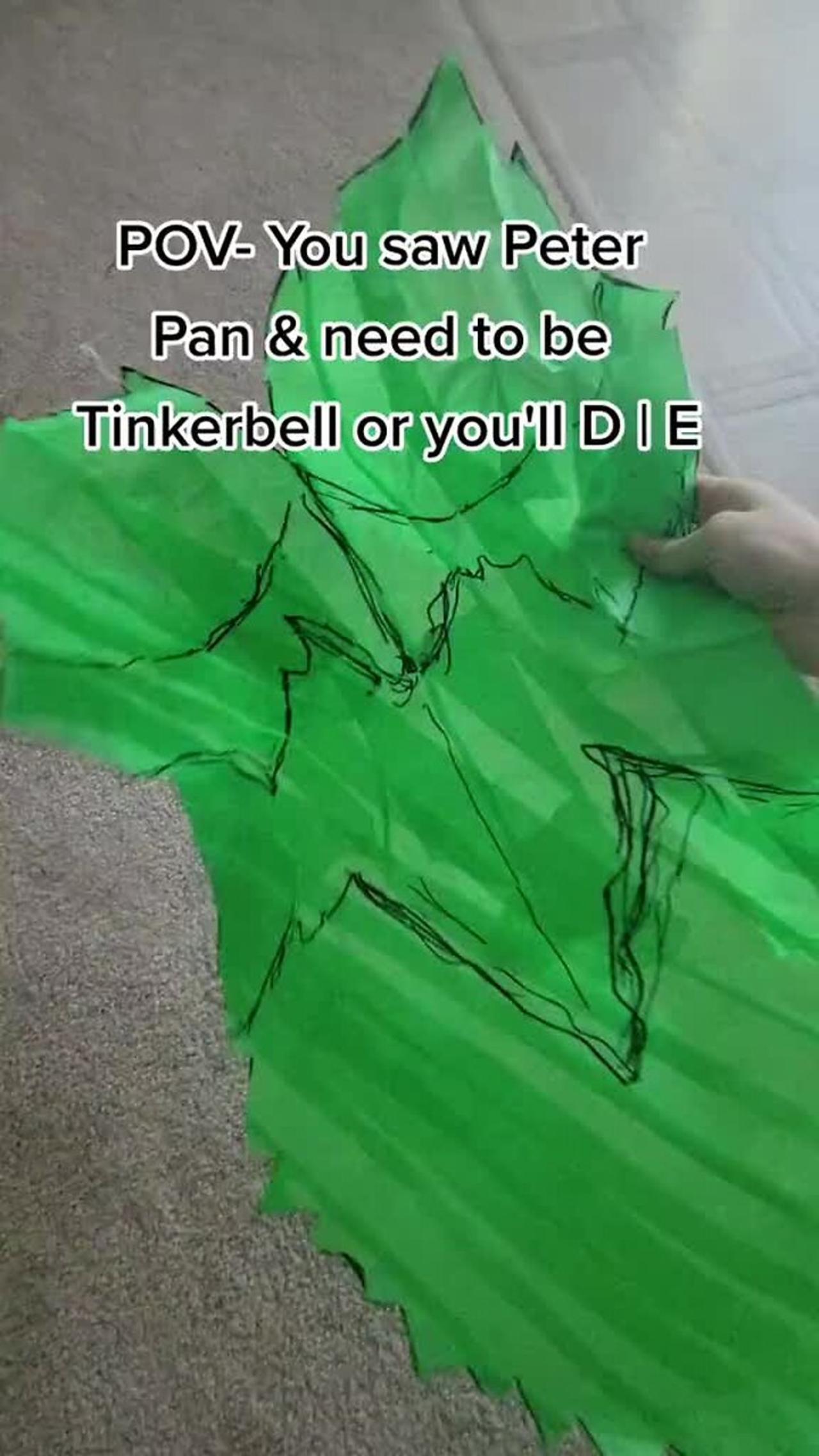 Person makes a Tinkerbell inspired costume!.mp4