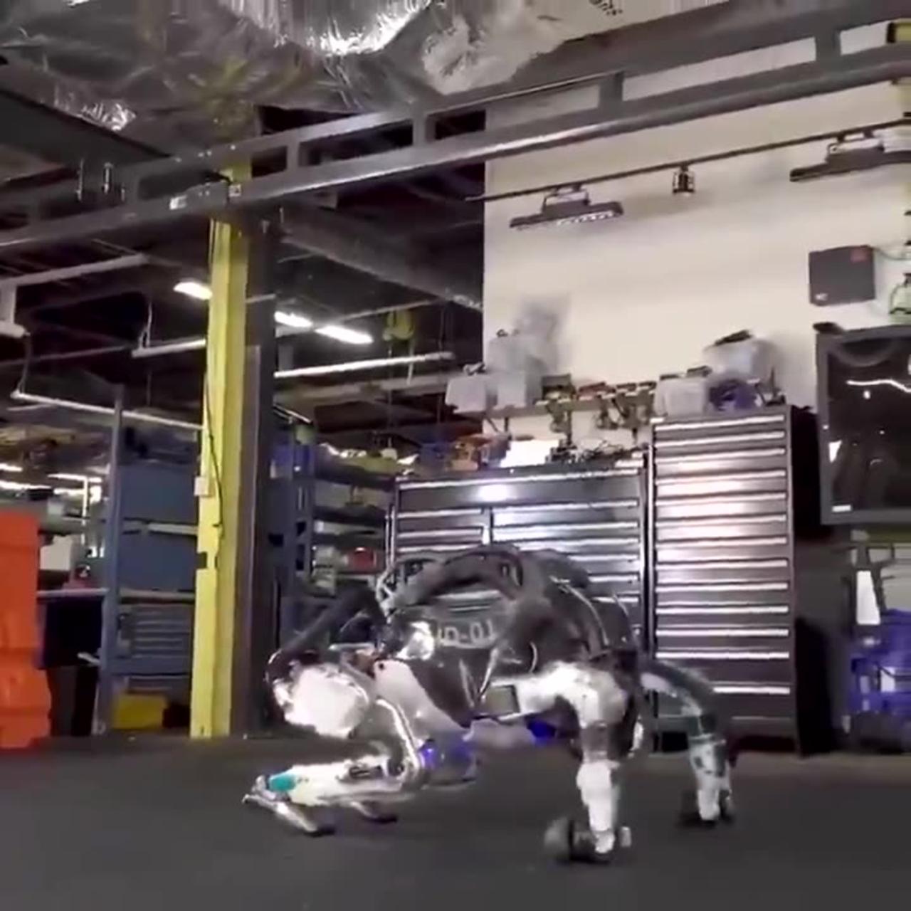 New Robot of Boston Dynamics.