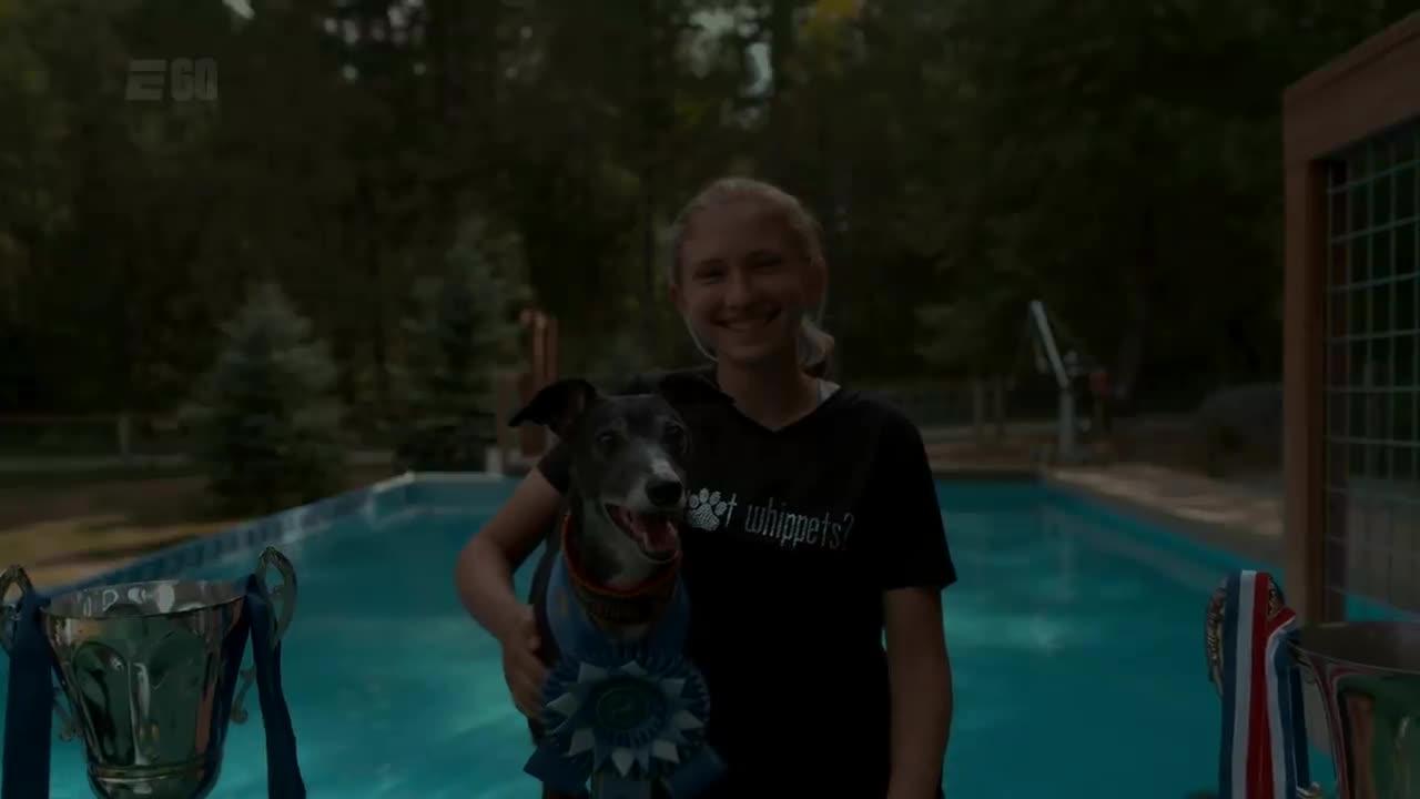 Dog Meet Spitfire, the Michael Jordan of Dogs One News Page VIDEO