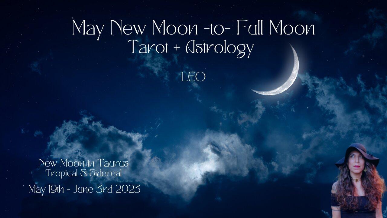 LEO | NEW to Full Moon | May 19-June 3 | Tarot + Astrology |Sun/Rising Sign