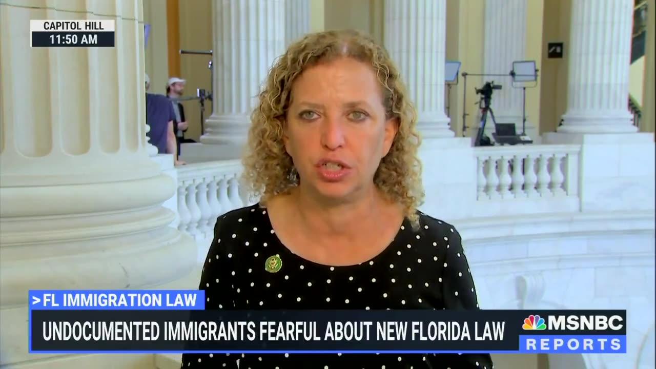 Rep. Debbie Wasserman Schultz (D-FL): You're going to have vegetables rotting in the fields
