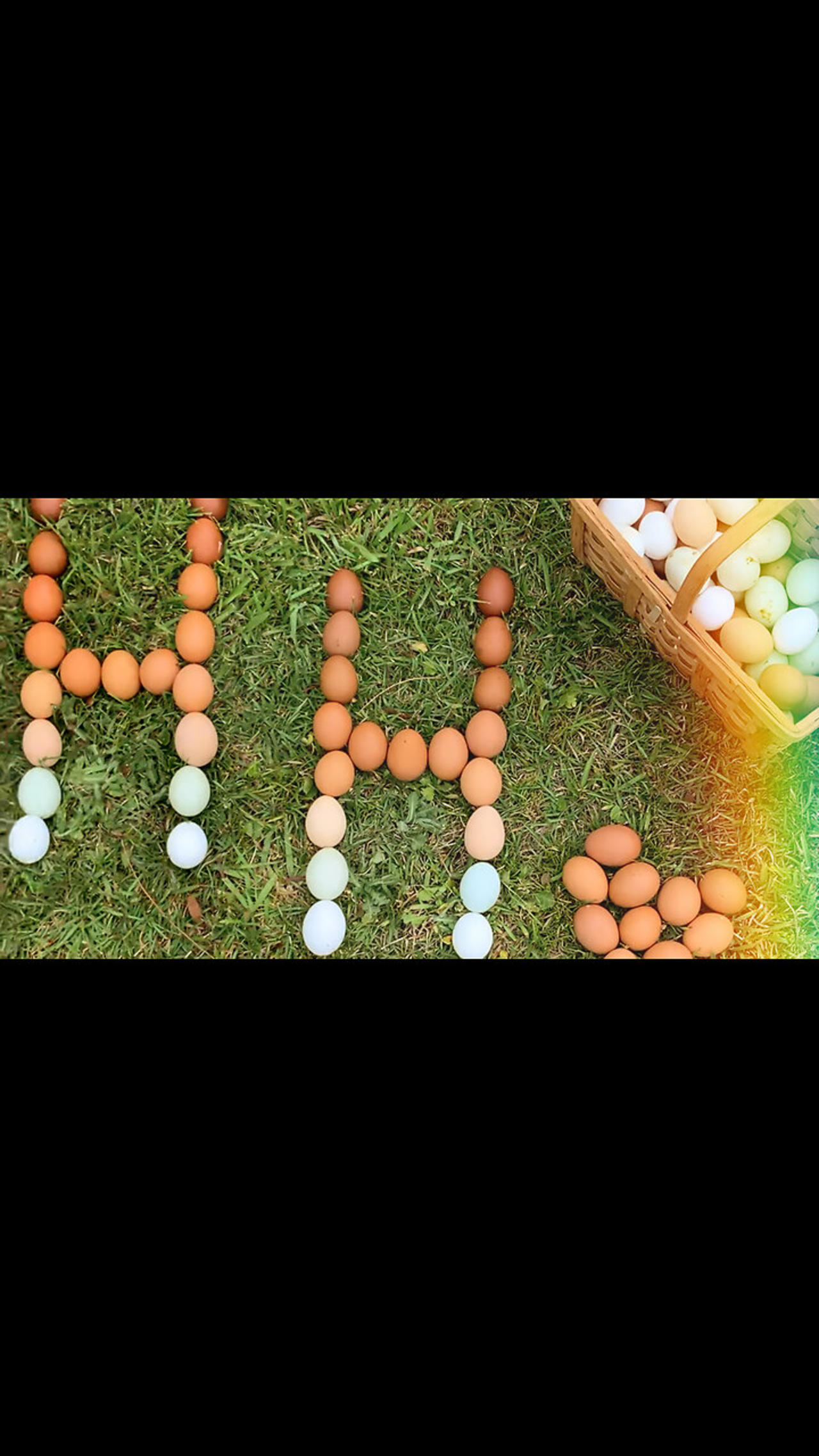 The Unexpected Craving: Do Chickens Really Eat Peanut Shells? - cj8x3n9