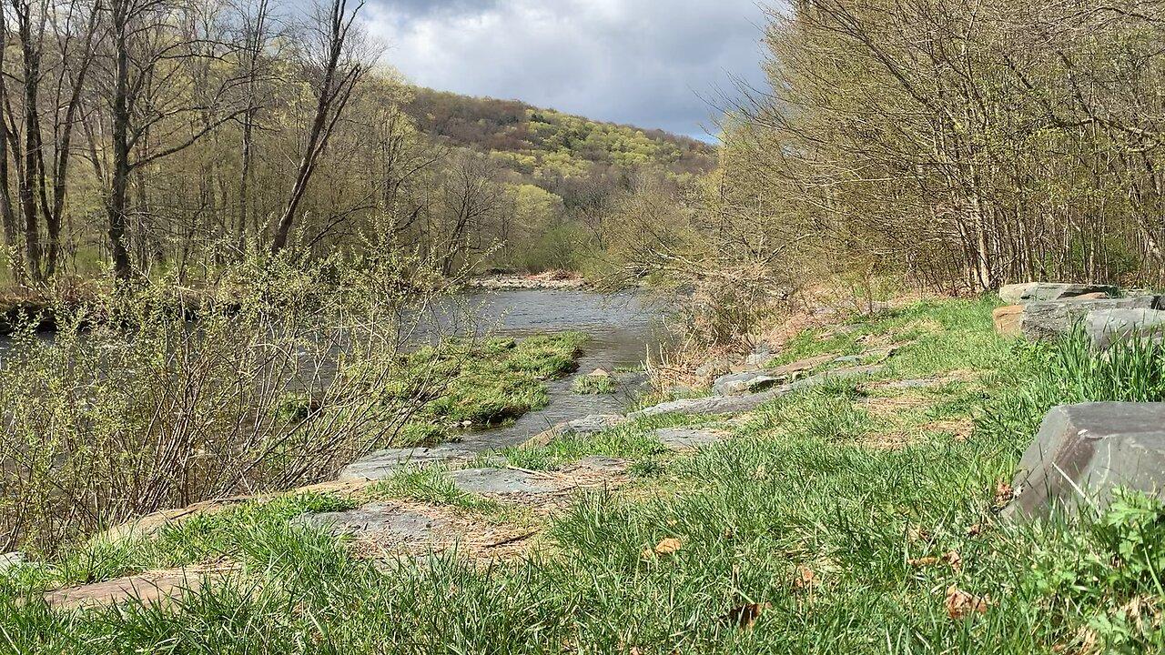 Relaxing running water nature sounds One News Page VIDEO