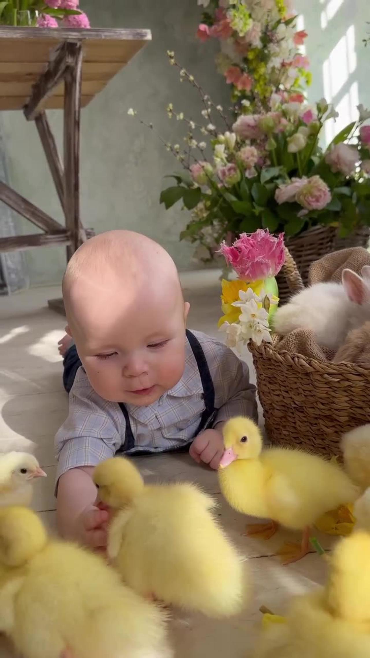 Cute Baby with cute ducks
