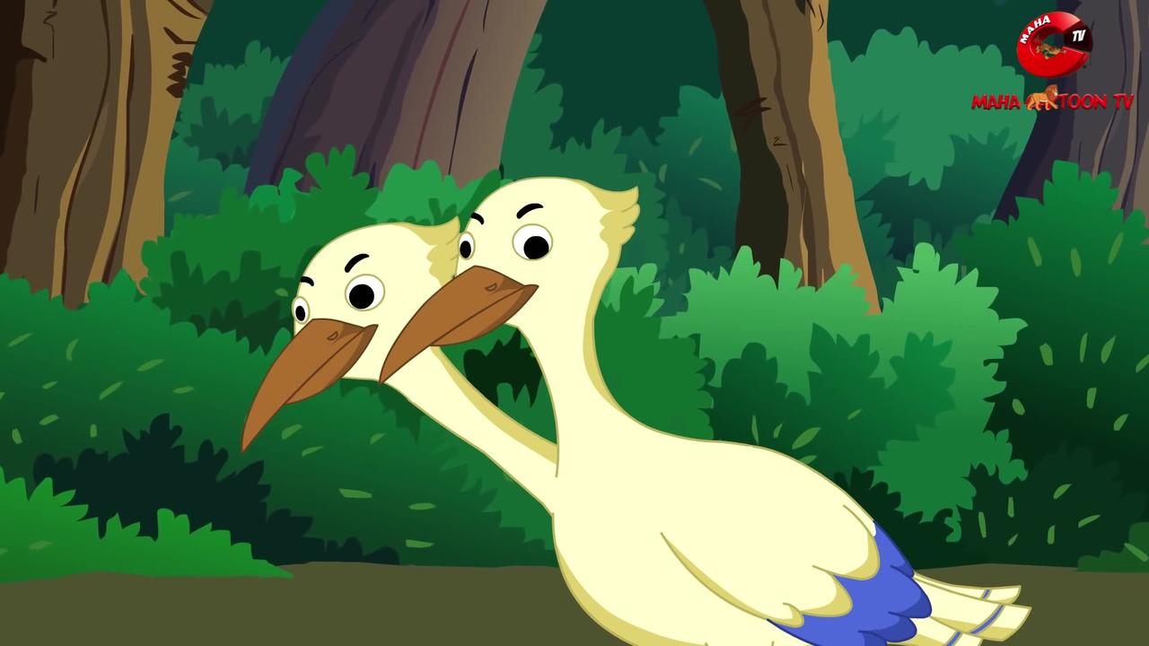 Double headed bird//kids cartoon videos ♥️💯