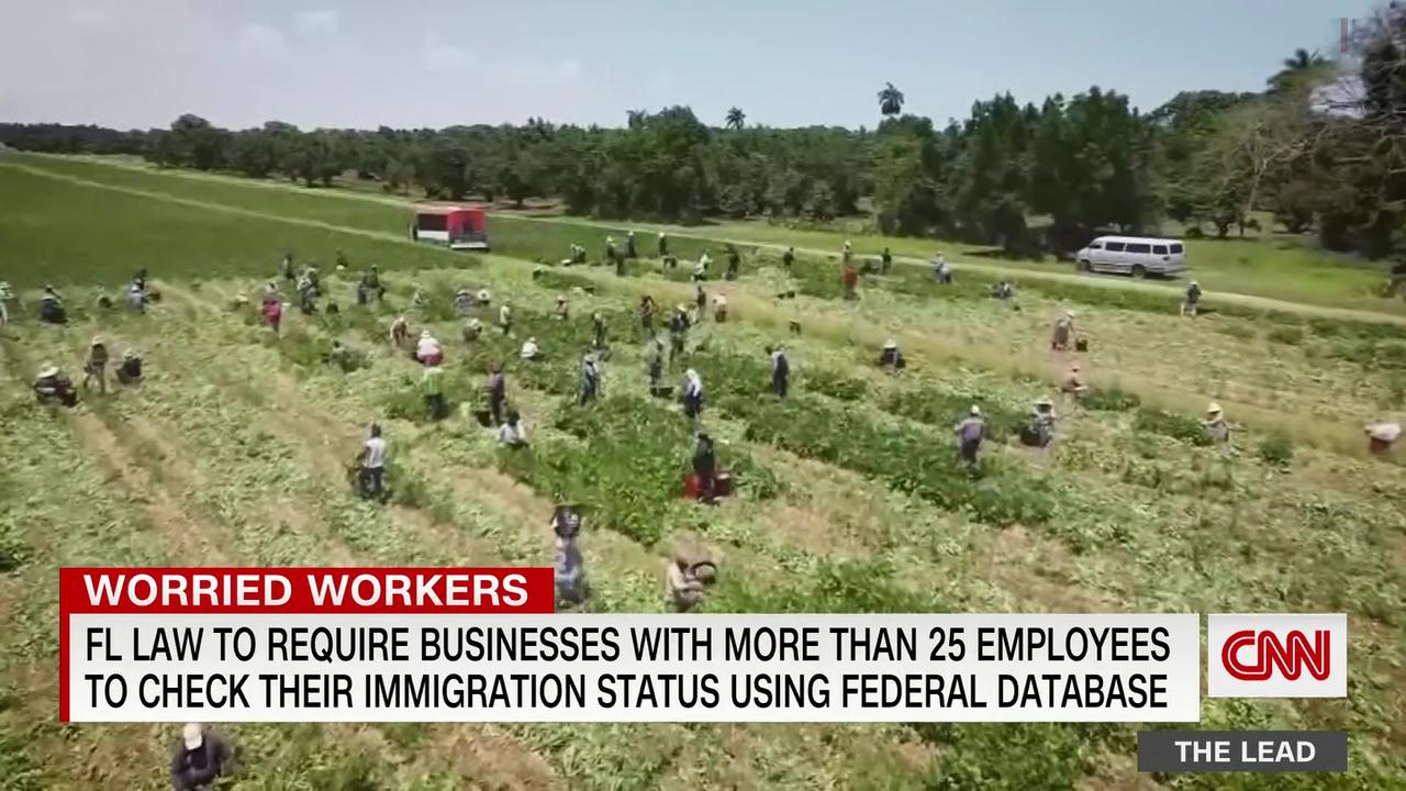 How Florida's new immigration law will affect undocumented workers