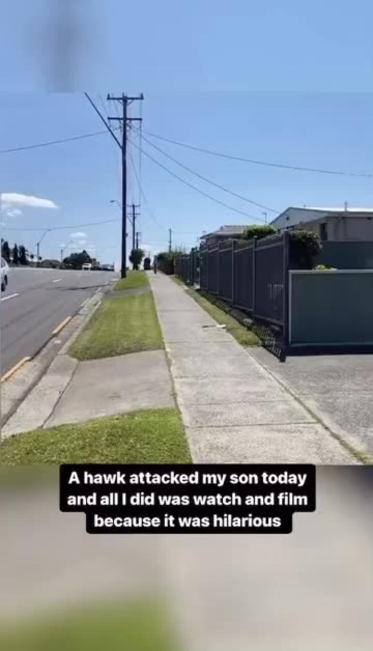 A hawk attacked my son today and all I did was watch and film because it was hilarious