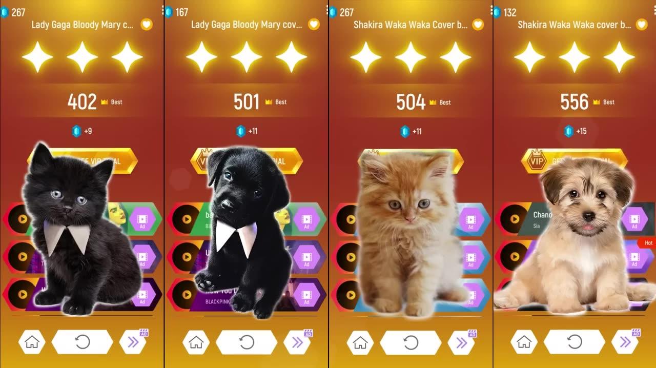 Cute Cats vs Cute Puppy Lady Gaga Bloody Mary Shakira Waka Waka Bongo cat vs dog Tiles Hop EDM Rush!