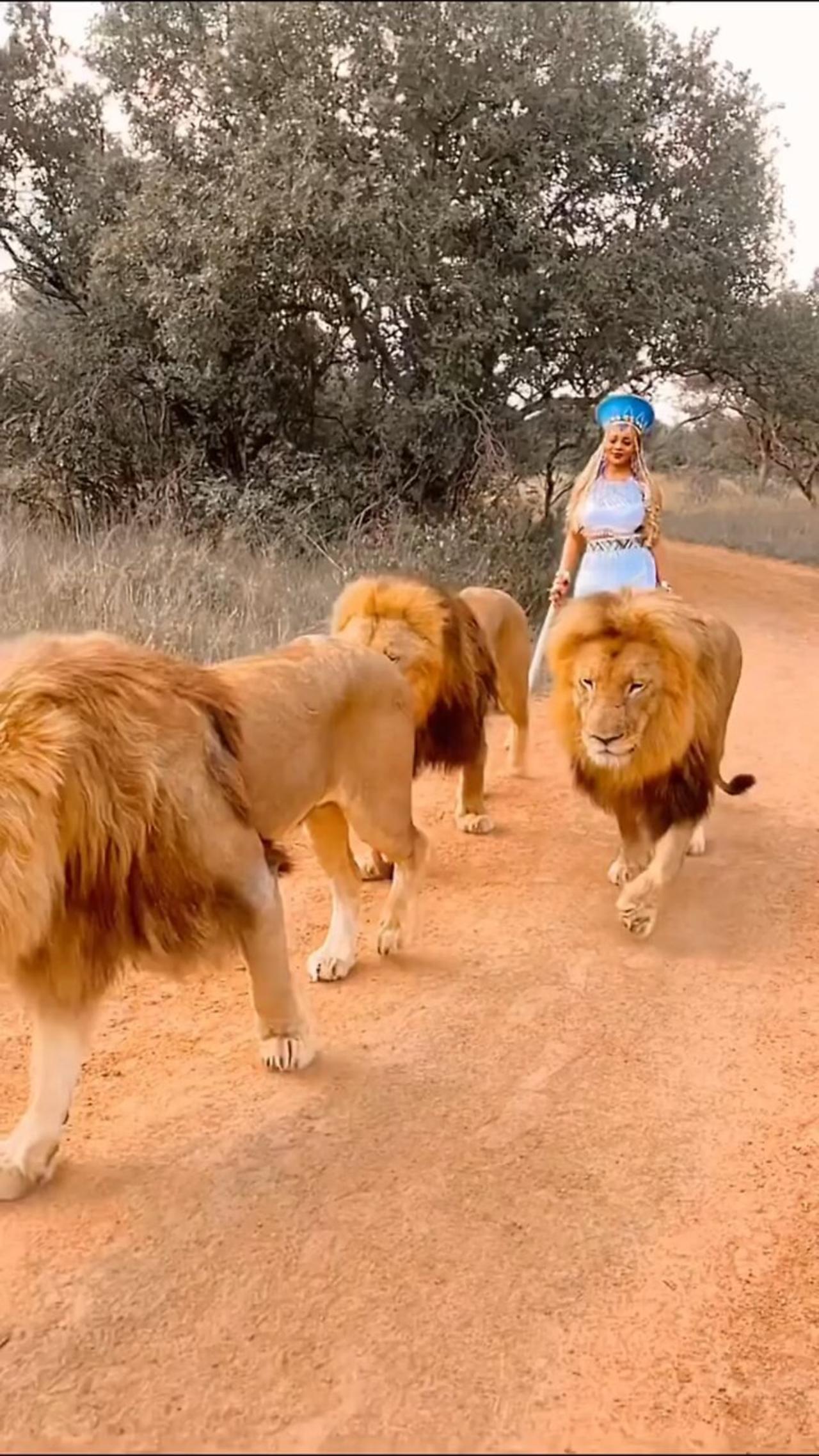 Woman walking with 3 Lions One News Page VIDEO