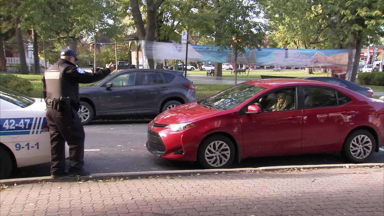 Best Of Wild Animal Pranks 2023 Just For One News Page VIDEO