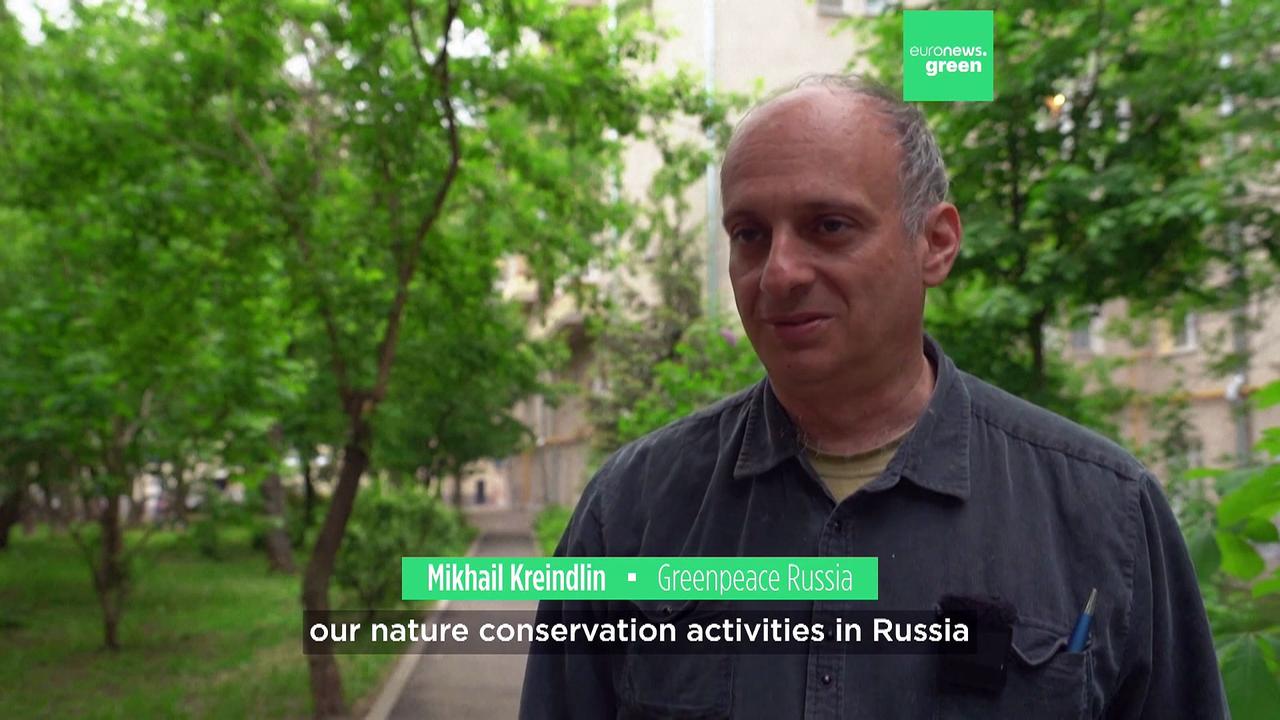 Greenpeace exits Russia. Where does that leave the country's nature?
