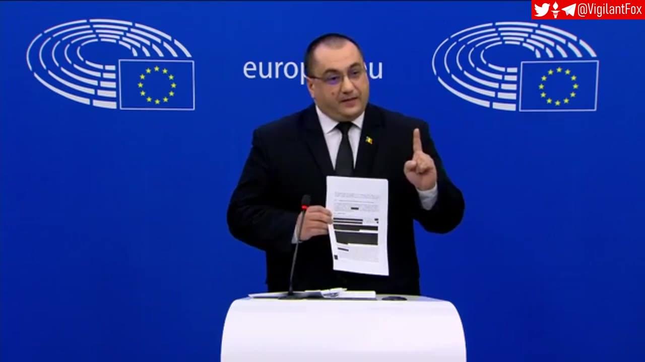 Romanian MEP Cristian Terheș condemns