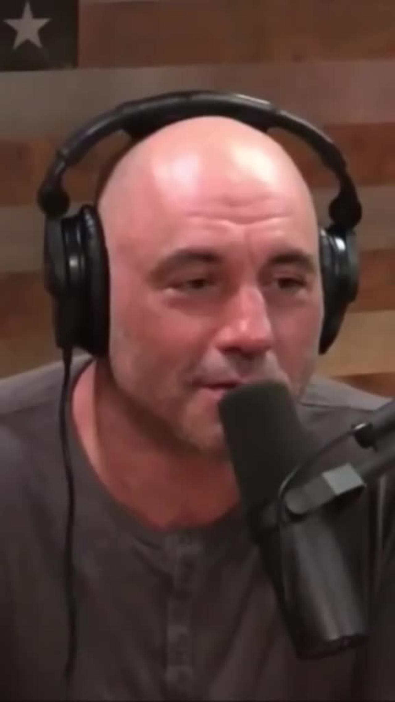 Joerogan Instagrampitpoint - 4ztu0lj