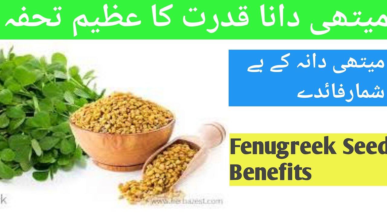 Fenugreek Seeds Benefits And Use One News Page Video