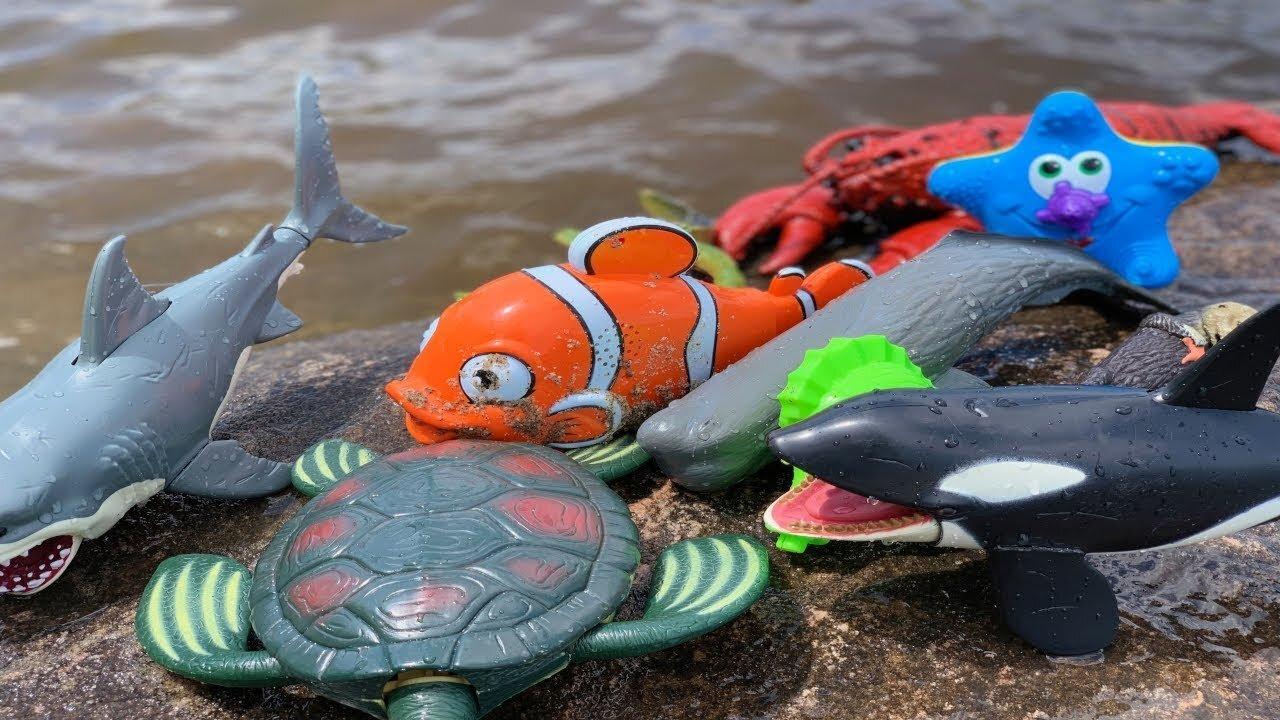 Sea Animal Toys This Summer at the Shore - One News Page VIDEO