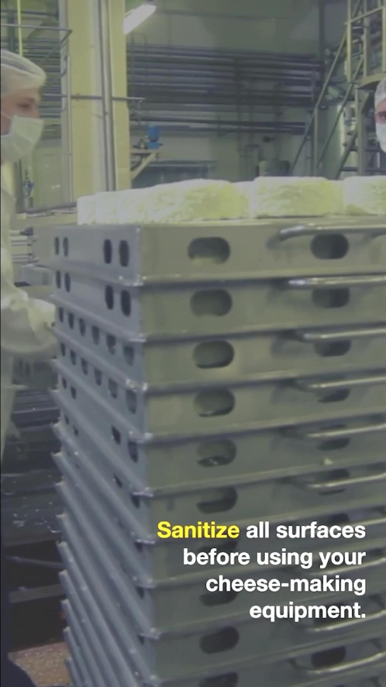 How to Make Mozzarella Cheese One News Page VIDEO