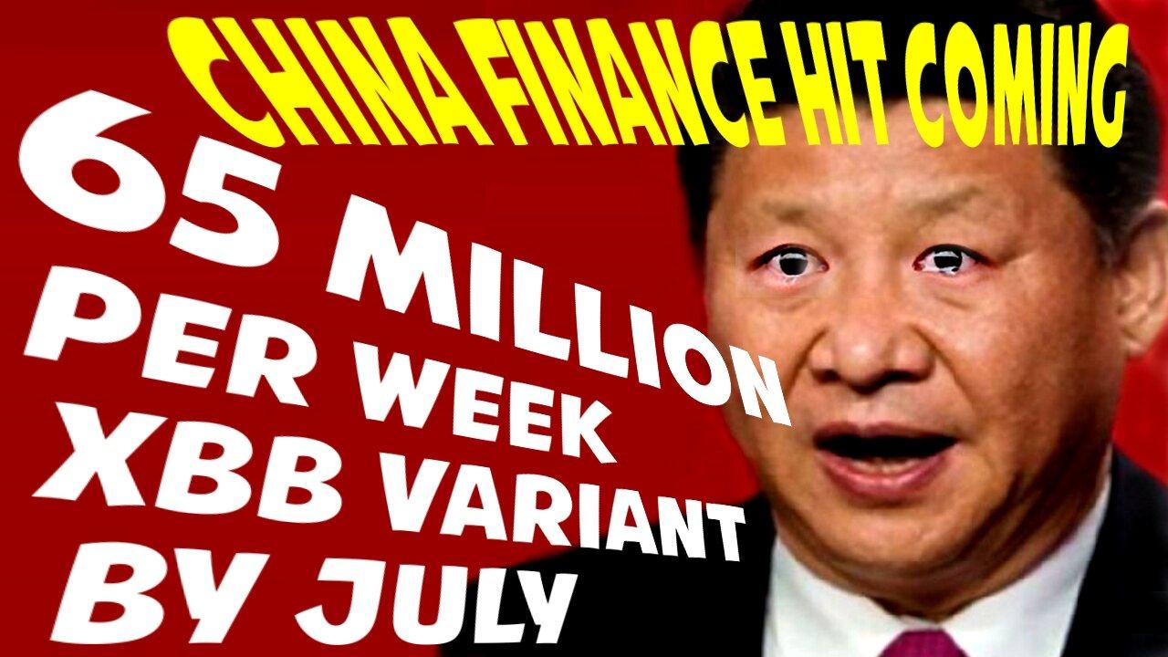 China Finance Hit Coming - China COVID XBB Variant